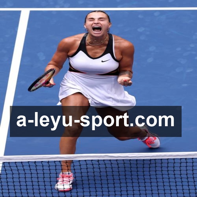 乐鱼体育网页版使用指南：轻松掌握核心功能，畅享优质体育资讯及活动福利